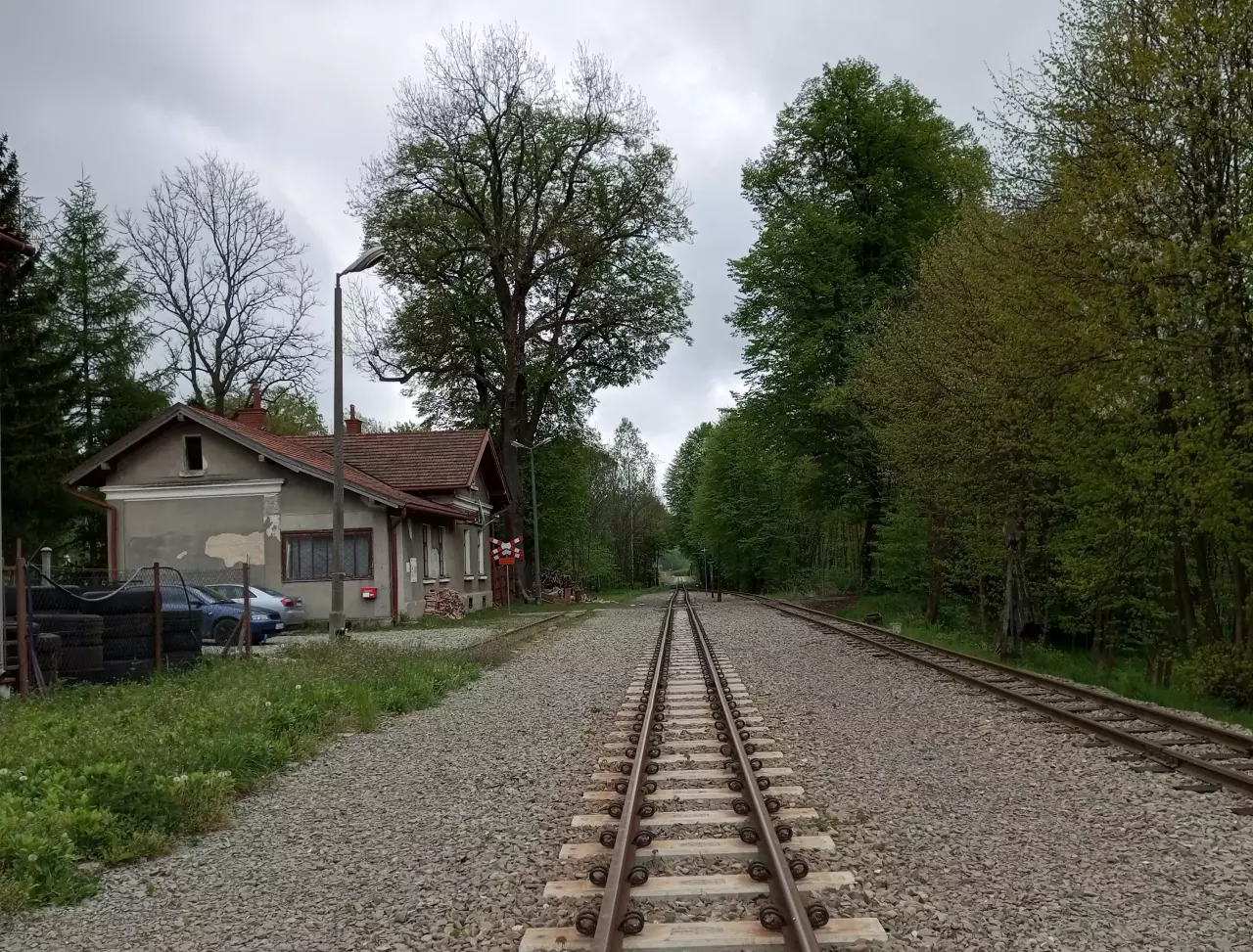 fot. Michal Čellár 
Teren równi stacyjnej w kierunku Przeworska Wąskotorowego. Po lewej stronie dawny budynek dworca, dziś dom rodzinny. Obraz