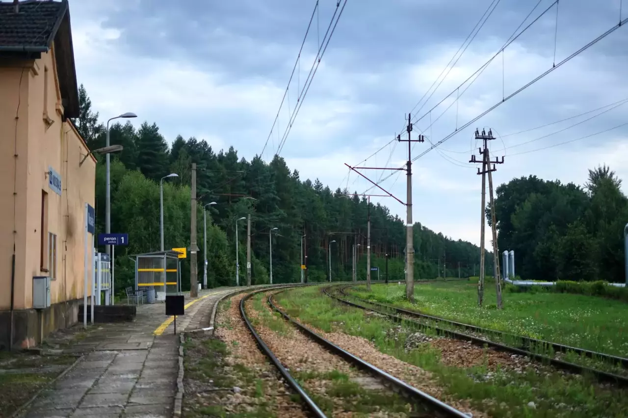 fot. trainstationhopping 
Widok w stronę Stalowej Woli; po lewej budynek dworca. Obraz